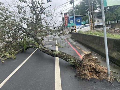 颱風天辦喪事中途黑一片 樹倒釀彰化芬園近2千戶停電