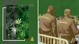 Los policías que piden legalizar la marihuana: 'No queremos tratar a los fumadores como criminales'