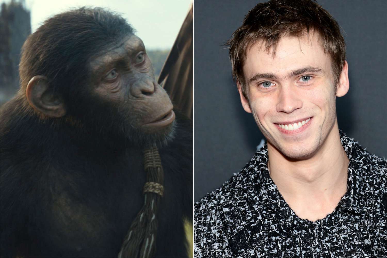 'Kingdom of the Planet of the Apes' cast had a 'running joke' about how many bananas they ate on set