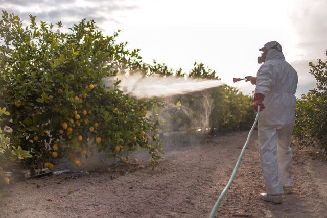 Study: Pesticides May Increase Risk of Some Cancers as Much as Smoking