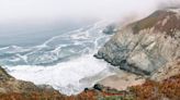 Massive sea creatures breach off California, video shows. ‘I truly will never forget’