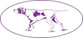 Westminster Kennel Club Dog Show