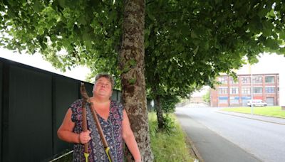 Housing bosses slammed for state of 'overgrown' trees on Greenock street