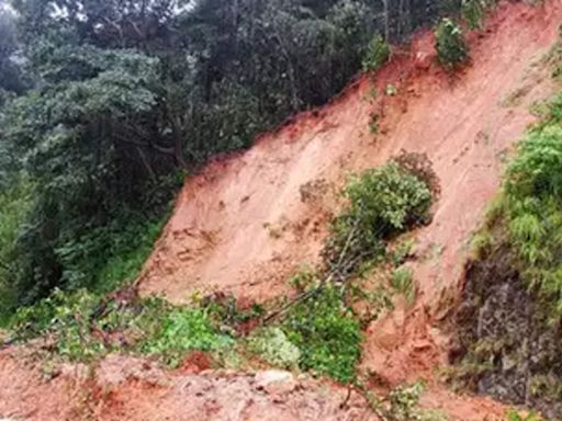 Landslide disrupts traffic on Goa-Karnataka route; IMD issues 'orange' alert - The Economic Times