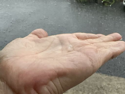 台南強風雷雨下冰雹 東區路樹倒伏壓車