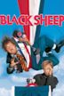 Black Sheep