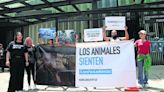 Protestan en el Senado por sacrificio de gallina