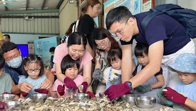 嘉義縣政府推牡蠣食魚教育，遊客開心體驗一日青蚵嫂 | 蕃新聞