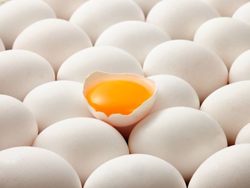 國內最純「雞蛋股」6月13日上市 中籤可賺1.49萬、報酬率25%