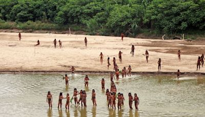 Rare Video Shows Isolated Indigenous Tribe Emerging From Amazon Amid Nearby Logging