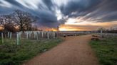 Plan for London's largest nature haven