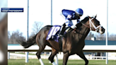 For 2 horses, the road to the Kentucky Derby goes through Northern Kentucky