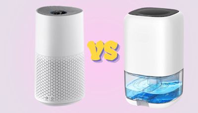 Air purifier vs dehumidifier: What’s the difference, which one is right for you and the best options to buy