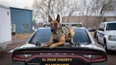 Colo. governor signs law to add protections for police K-9s, horses