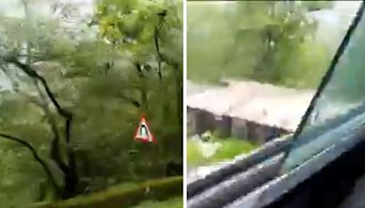 Video: Tourist Capturing Nature While Traveling Ends Up Recording Tragic Fall Of His Bus In Saputara Valley...