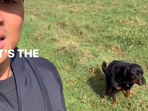 Sacked Jermaine Jenas appears to win forgiveness of his dog