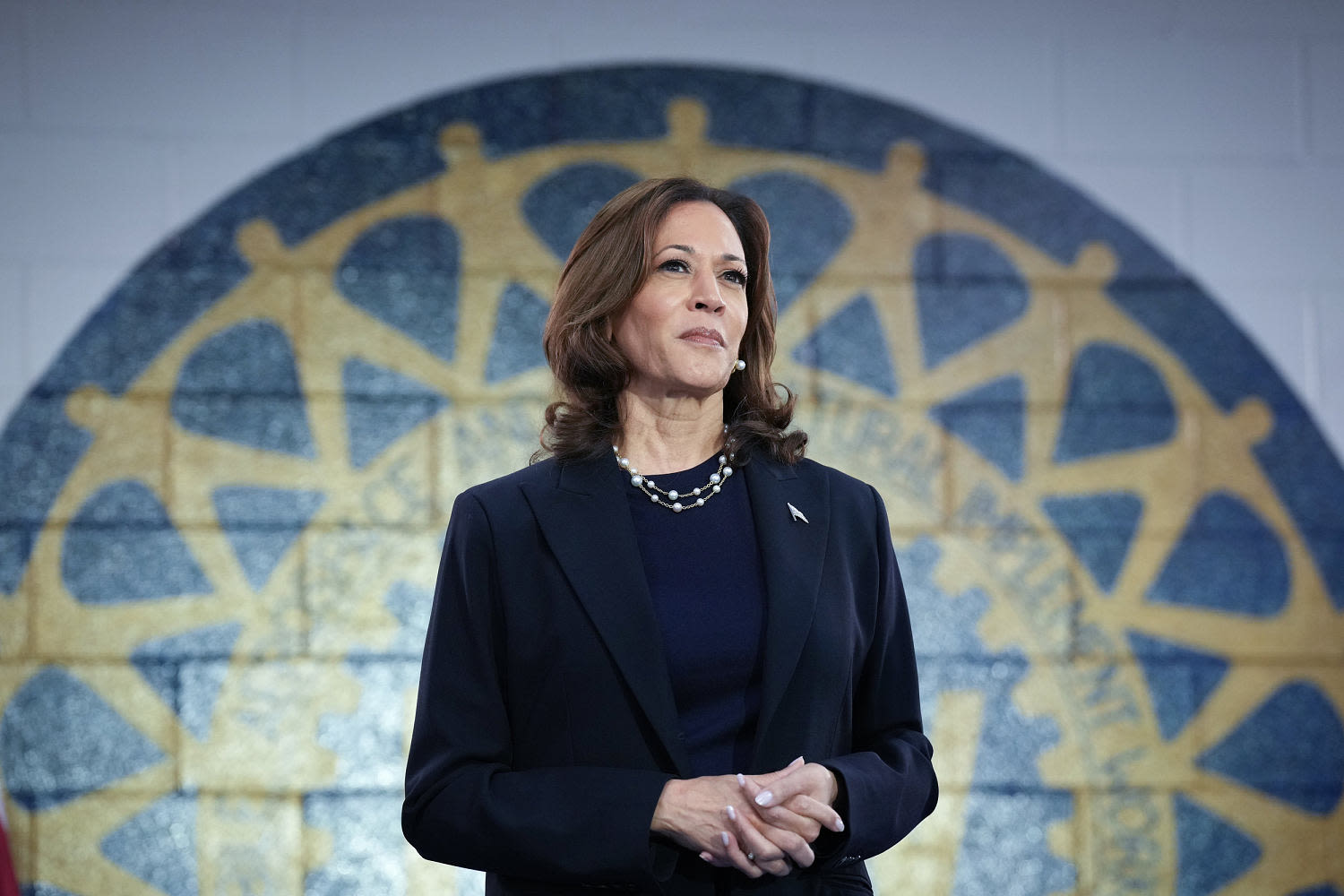 Hackers rally behind Kamala Harris' presidential campaign