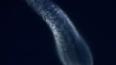 Jellyfish in the sky: SpaceX launches Falcon 9 Friday from Cape Canaveral, Florida