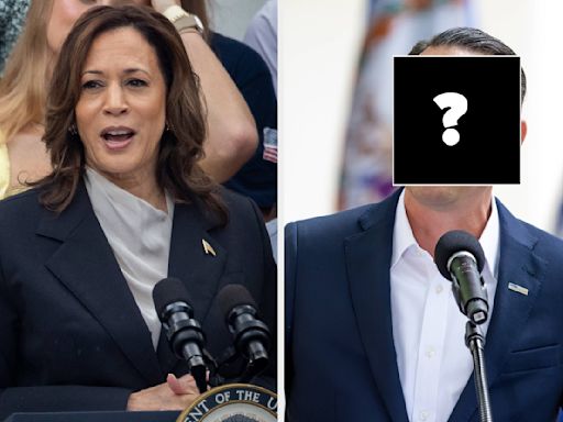 18 People Got Incredibly Candid About Who They Think Would Make A Winning Ticket As Kamala Harris's Potential VP