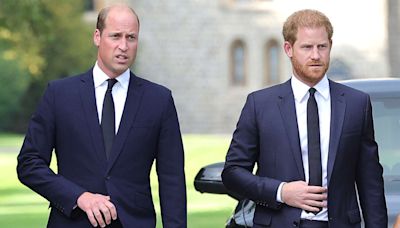 Prince Harry and Prince William's Rift Is 'Very Bad' but Not 'Irreparable,' Royal Insider Says (Exclusive)