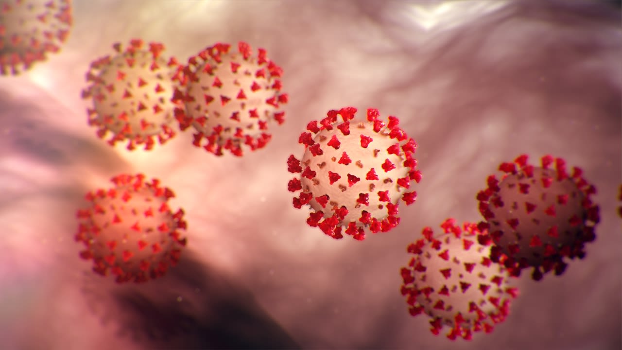 COVID-19 cases up for ninth week: Coronavirus update for Thursday, August 1, 2024