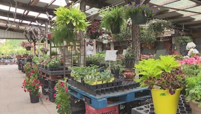 Kansas City flower shops celebrate busy Mother’s Day