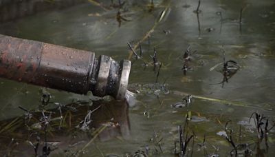 Oil spill cleanup underway in Montreal's Pointe-aux-Trembles district