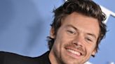Harry Styles Pauses Show So Pregnant Woman Can Pee And Not Miss A Song
