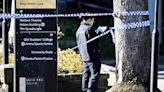 Sydney: Boy, 14, dressed in military clothing stabs university student in the neck