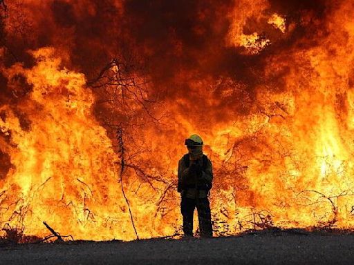 The Park Fire burned through most of Chico State’s Big Chico Creek Ecological Reserve