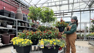 Chilly weather driving down plant sales, say Calgary greenhouses