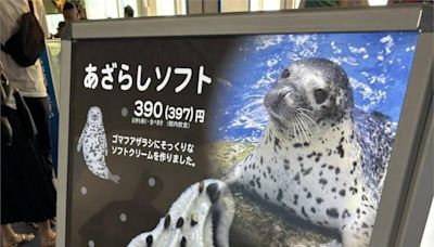 日水族館推海豹造型冰淇淋 「這食材」搭配神還原！