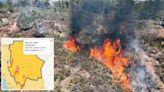 365 hectáreas bajo fuego por incendios en el estado: Conafor