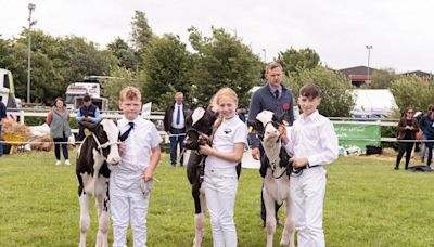 Fun for All the Family at this year's Omagh Show