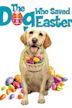 The Dog Who Saved Easter