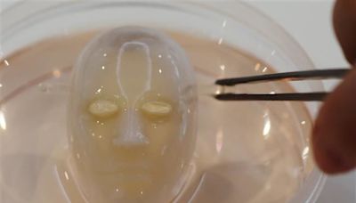 Say cheese: Japanese scientists make robot face ‘smile’ with living skin