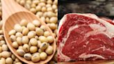 La carne o la soja texturizada: ¿cuál tiene más proteína?