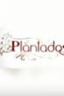 Plantados