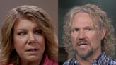 'Sister Wives' star Kody Brown doesn't feel 'emotionally safe' with wife Meri and says she can 'marry another'