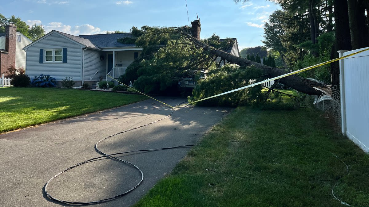 Fallen tree causes significant damage at Wethersfield home