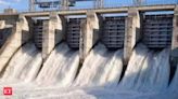 Centre may Back States in New Hydropower Play - The Economic Times
