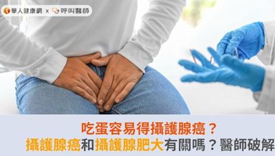 吃蛋容易得攝護腺癌？攝護腺癌和攝護腺肥大有關嗎？醫師破解 | 蕃新聞