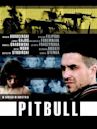 Pitbull (film)