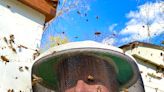 Ridgewood beekeeper: Seesaw winter weather a survival risk, but get ready for more honey