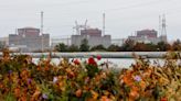 Explainer-The nuclear power plant in the eye of the Ukraine war