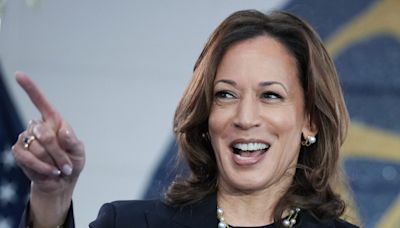 Goldman Sachs says voters are shifting to Kamala Harris—and the odds of a blue wave are swelling