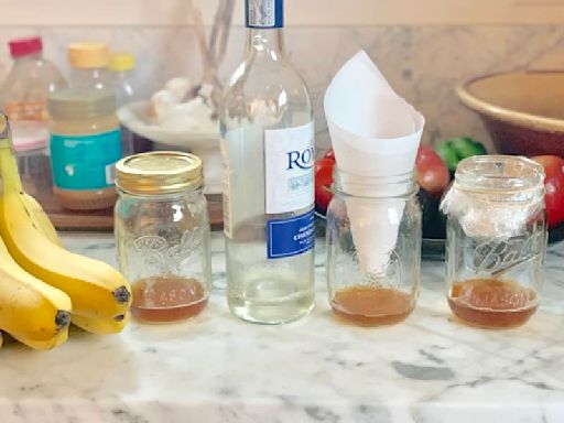 I Tried 4 Different DIY Fruit Fly Traps, and There Was a Clear Winner