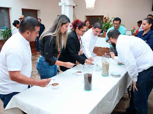 Cultivo de café en Santa Cruz creció tres veces más desde 2013 al 2024 - El Diario - Bolivia