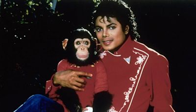 La historia de Bubbles, el famoso chimpancé que fue adoptado por Michael Jackson - La Tercera