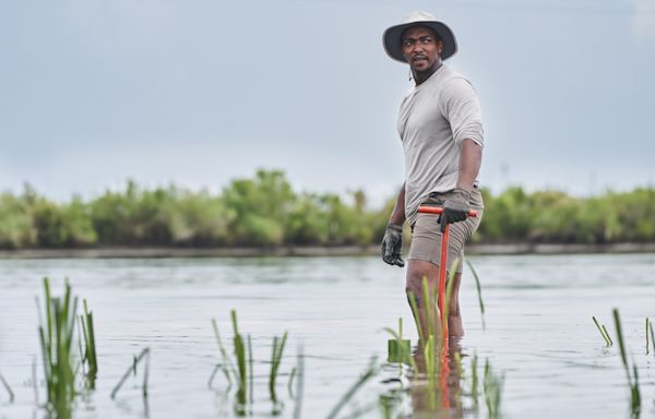 No shield required: ‘Captain America’ star Anthony Mackie’s own super power is swimming with sharks - WTOP News